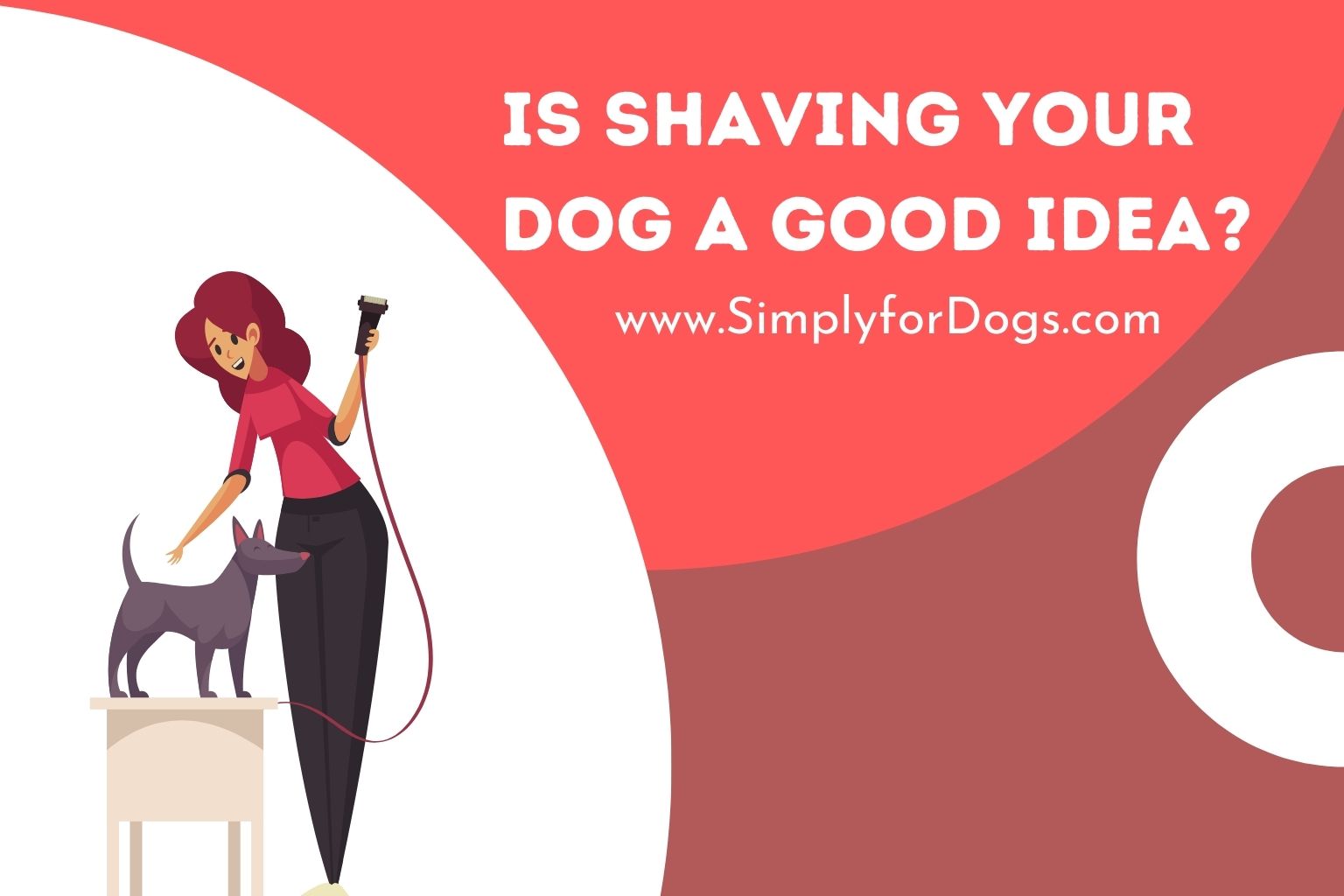 Is Shaving Your Dog a Good Idea