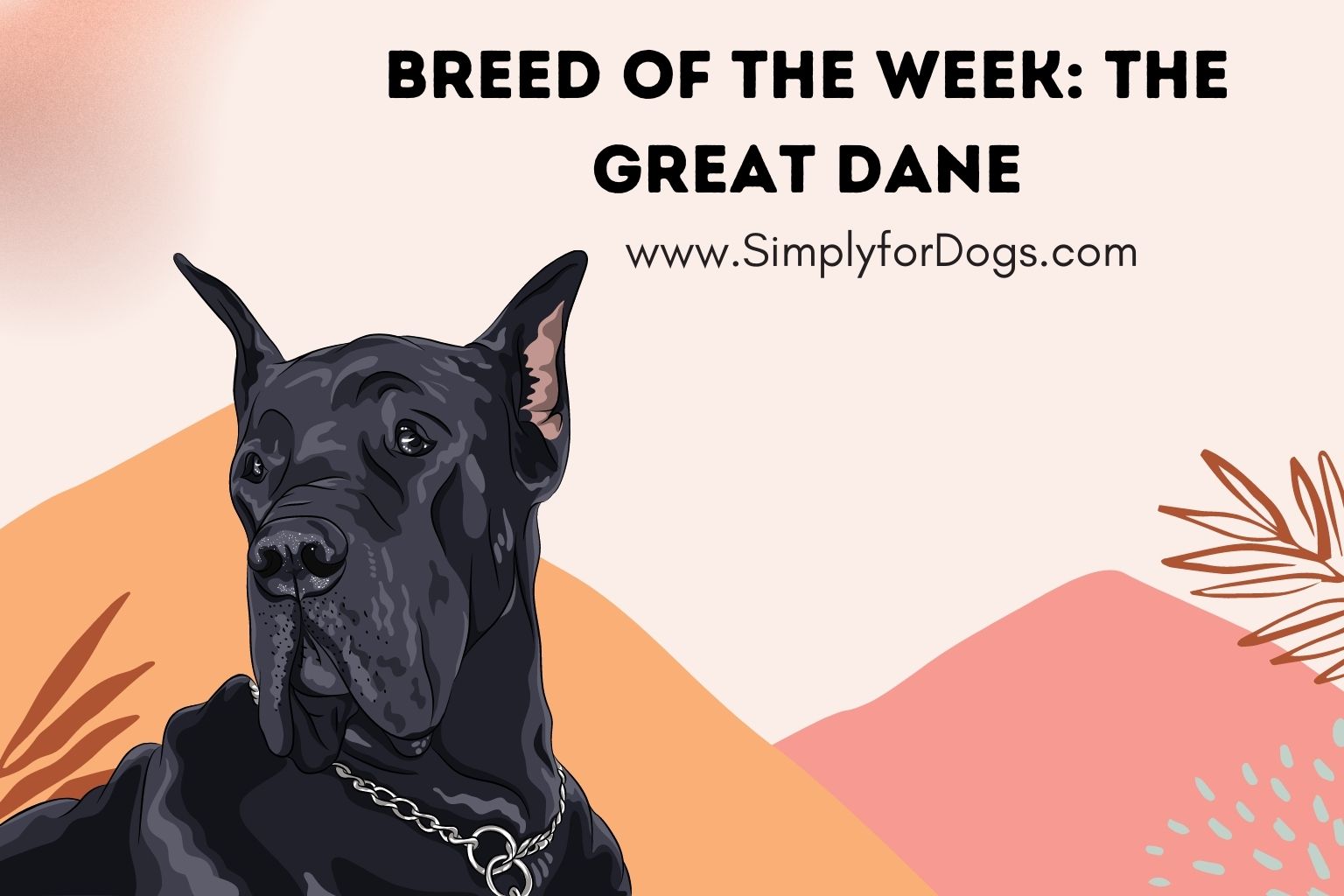 Breed of the Week_ The Great Dane