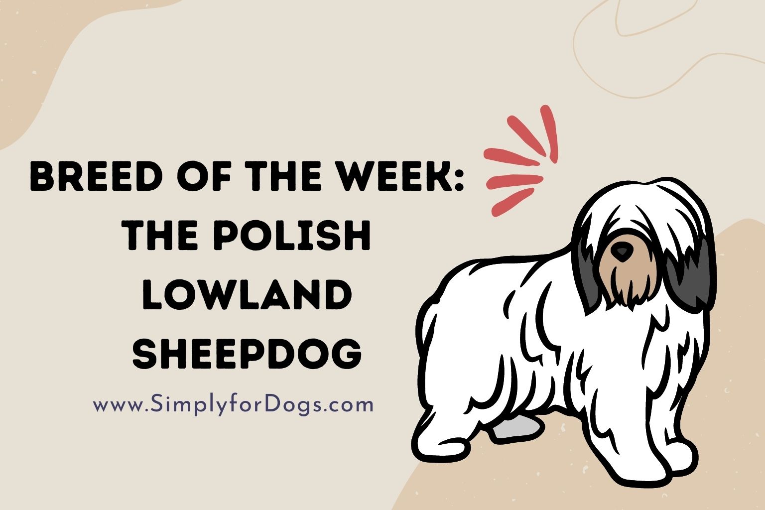 Breed of the Week_ The Polish Lowland Sheepdog