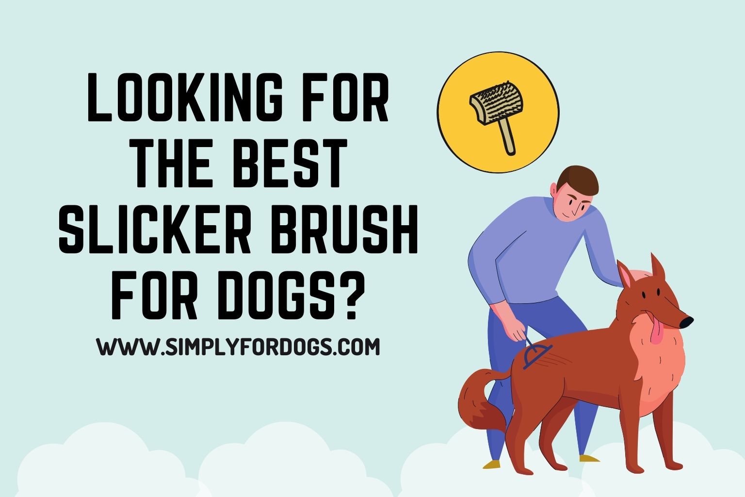 Looking for the Best Slicker Brush for Dogs_