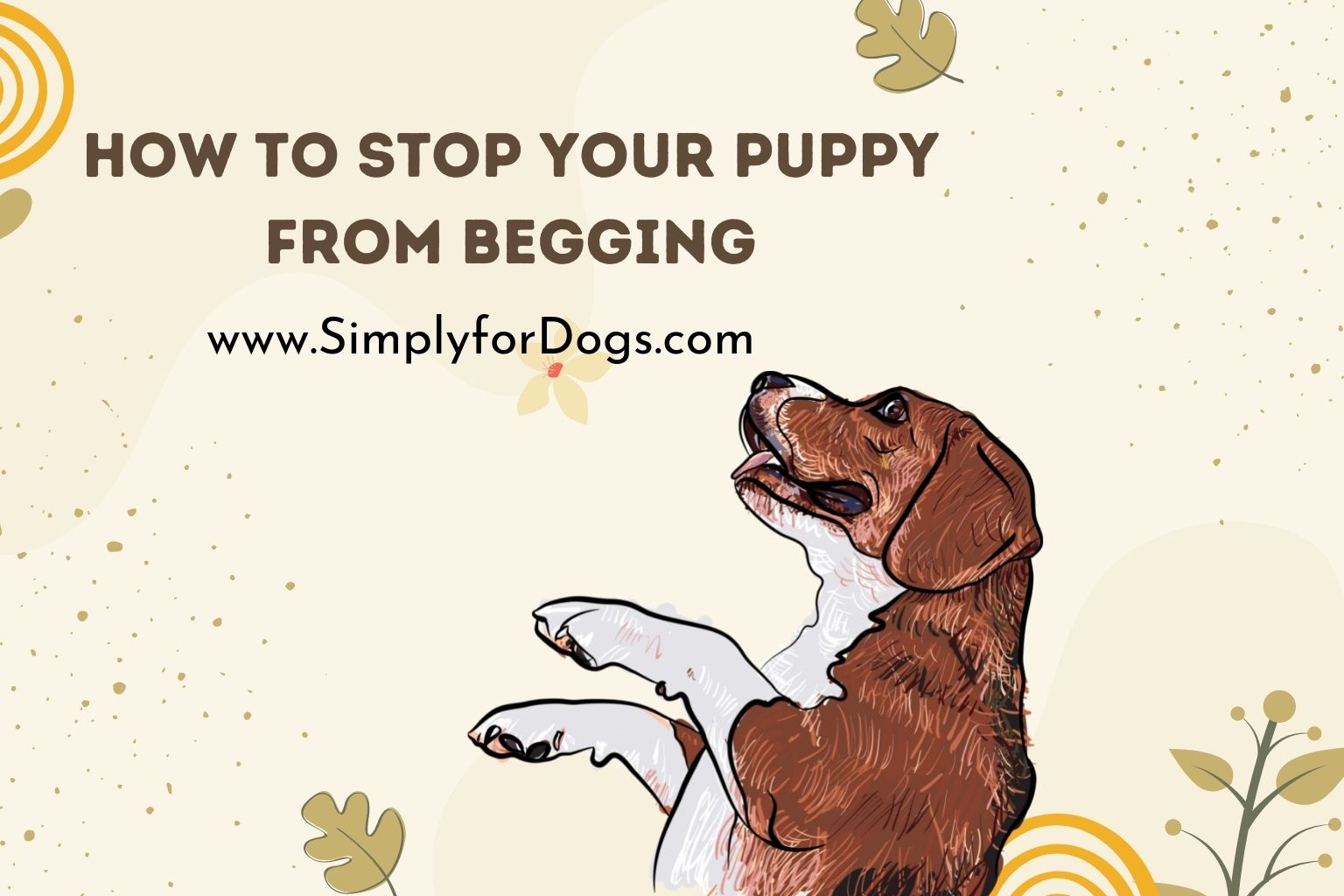 How to Stop Your Puppy from Begging