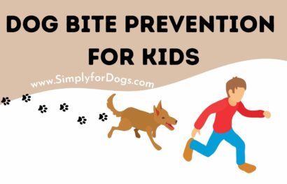 Dog Bite Prevention for Kids