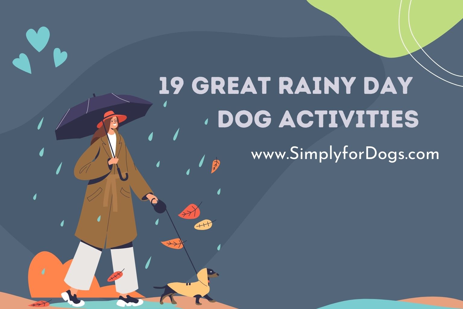 19 Great Rainy Day Dog Activities