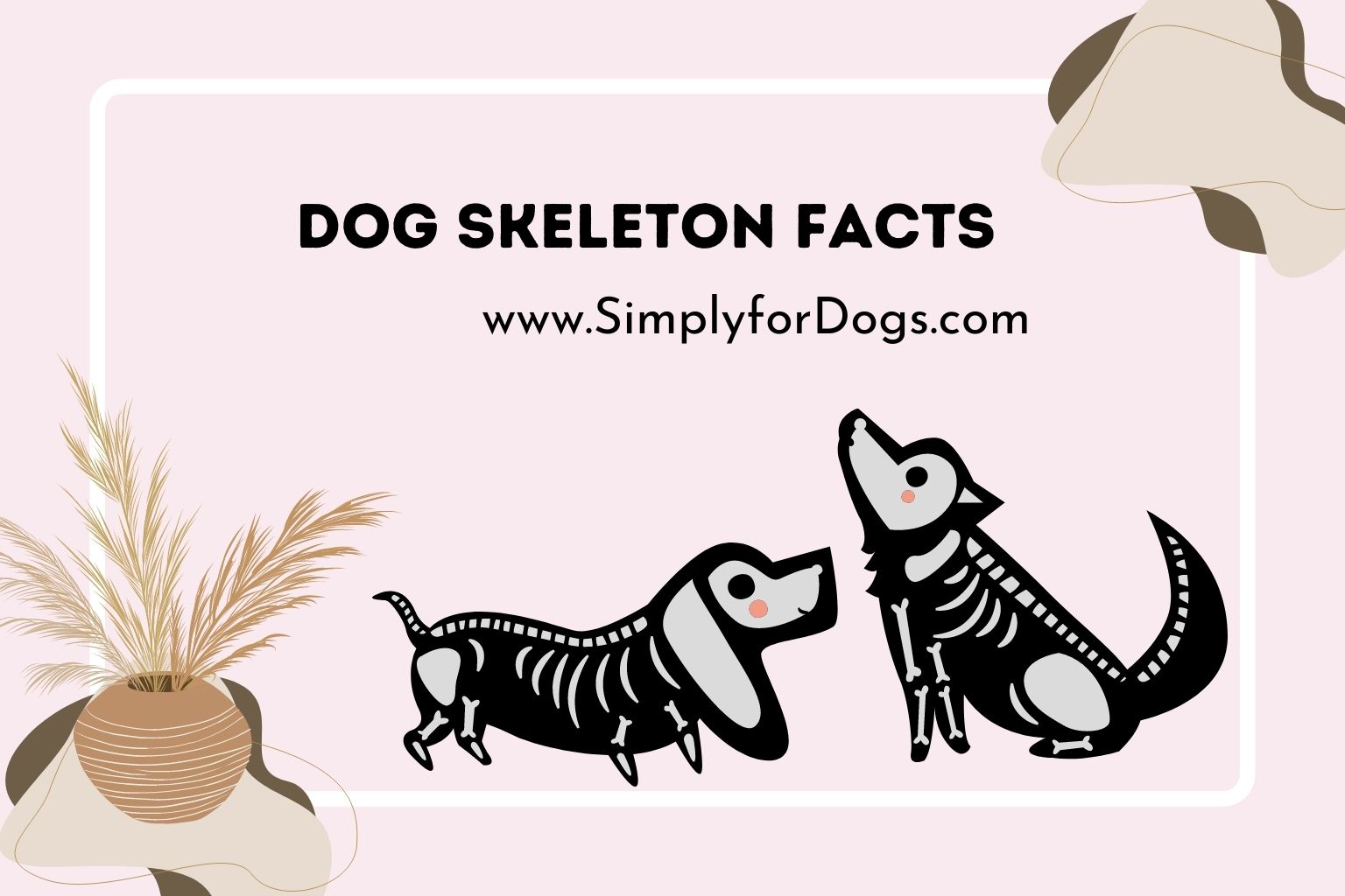 Dog Skeleton Facts