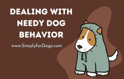 Dealing with Needy Dog Behavior