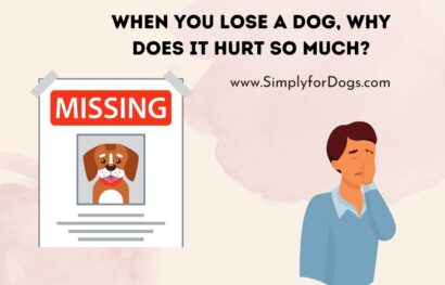 When You Lose a Dog, Why Does It Hurt So Much_