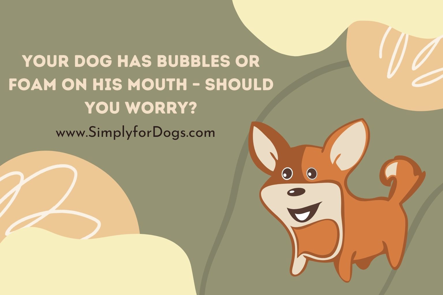 Your Dog Has Bubbles or Foam on His Mouth – Should You Worry_