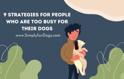 9 Strategies for People Who are Too Busy for Their Dogs