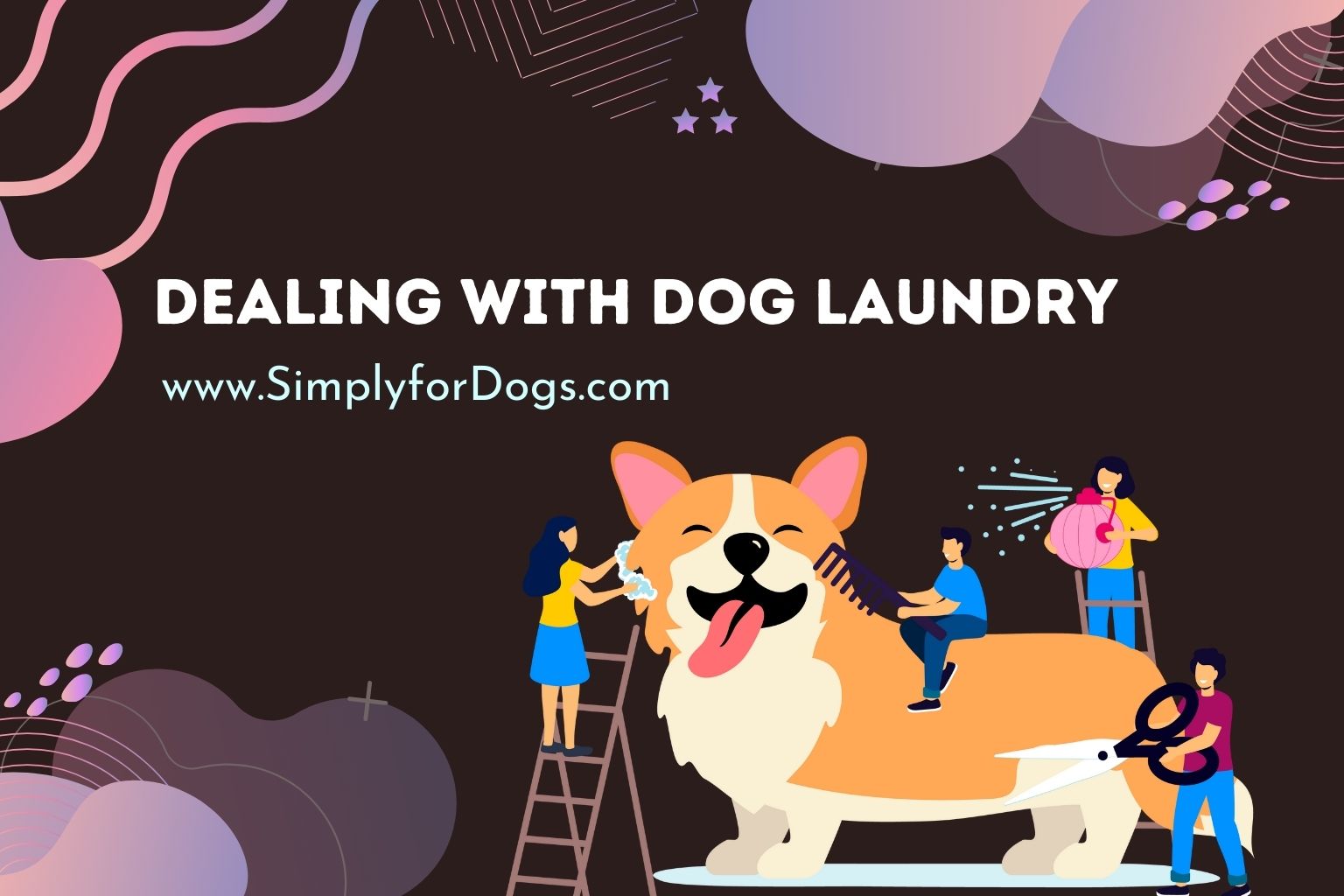 Dealing with Dog Laundry