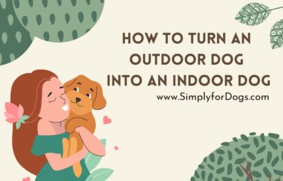 How to Turn an Outdoor Dog into an Indoor Dog