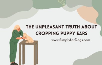 The Unpleasant Truth About Cropping Puppy Ears