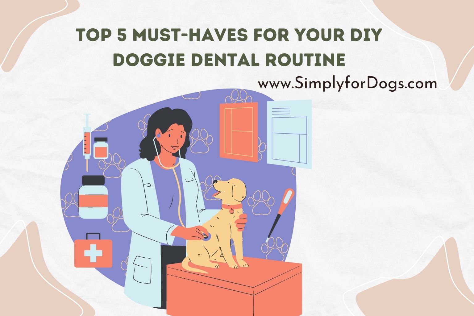 Top 5 Must-Haves for Your DIY Doggie Dental Routine