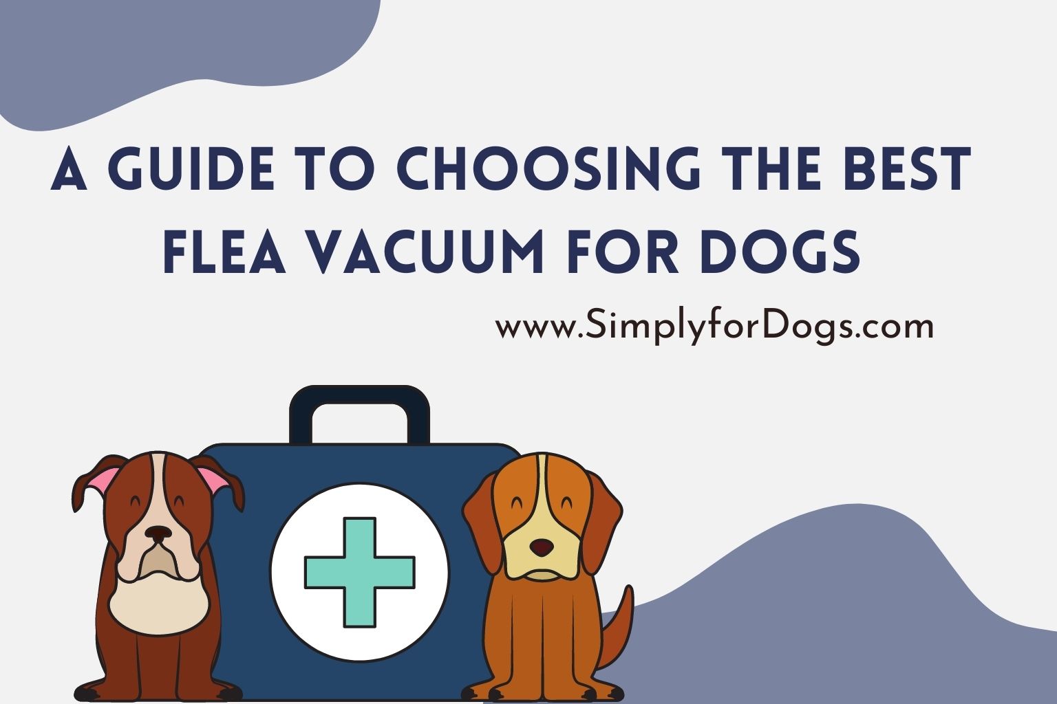 A Guide to Choosing the Best Flea Vacuum for Dogs