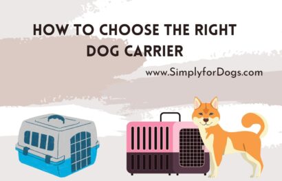 How to Choose the Right Dog Carrier