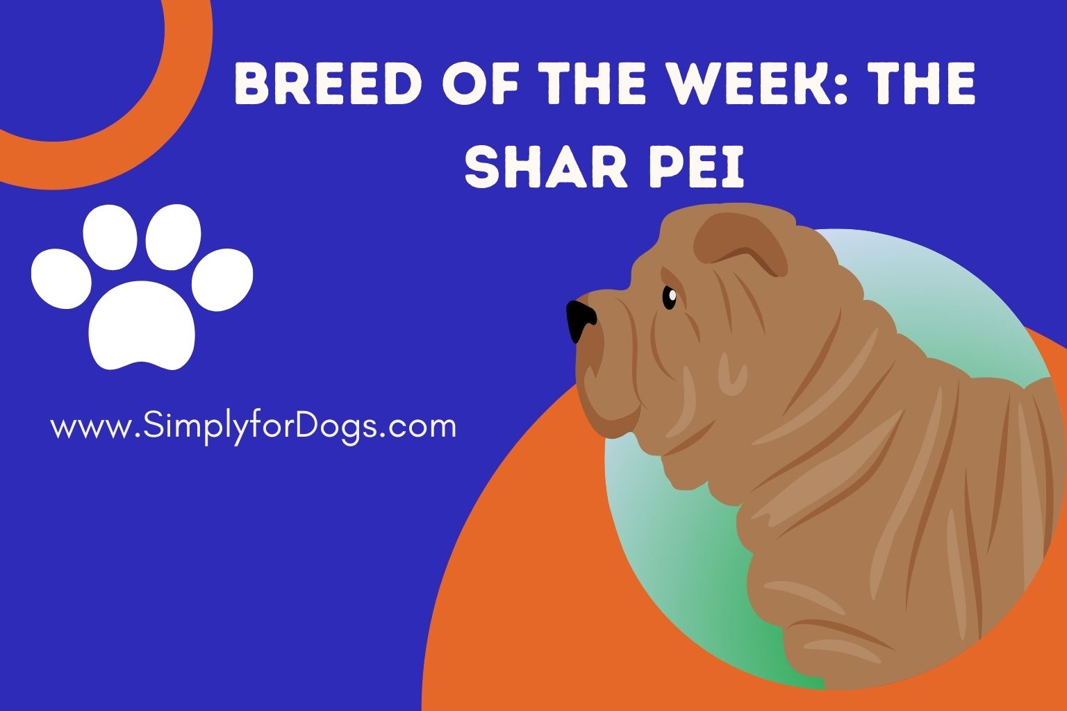 Breed of the Week_ The Shar Pei