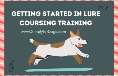 Getting Started in Lure Coursing Training