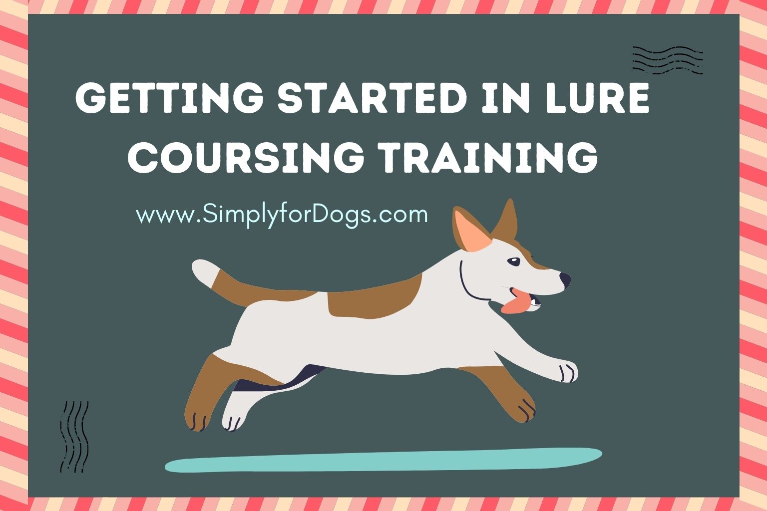 Getting Started in Lure Coursing Training