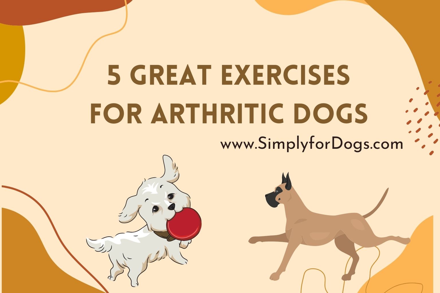 5 Great Exercises for Arthritic Dogs