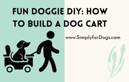 Fun Doggie DIY_ How to Build a Dog Cart