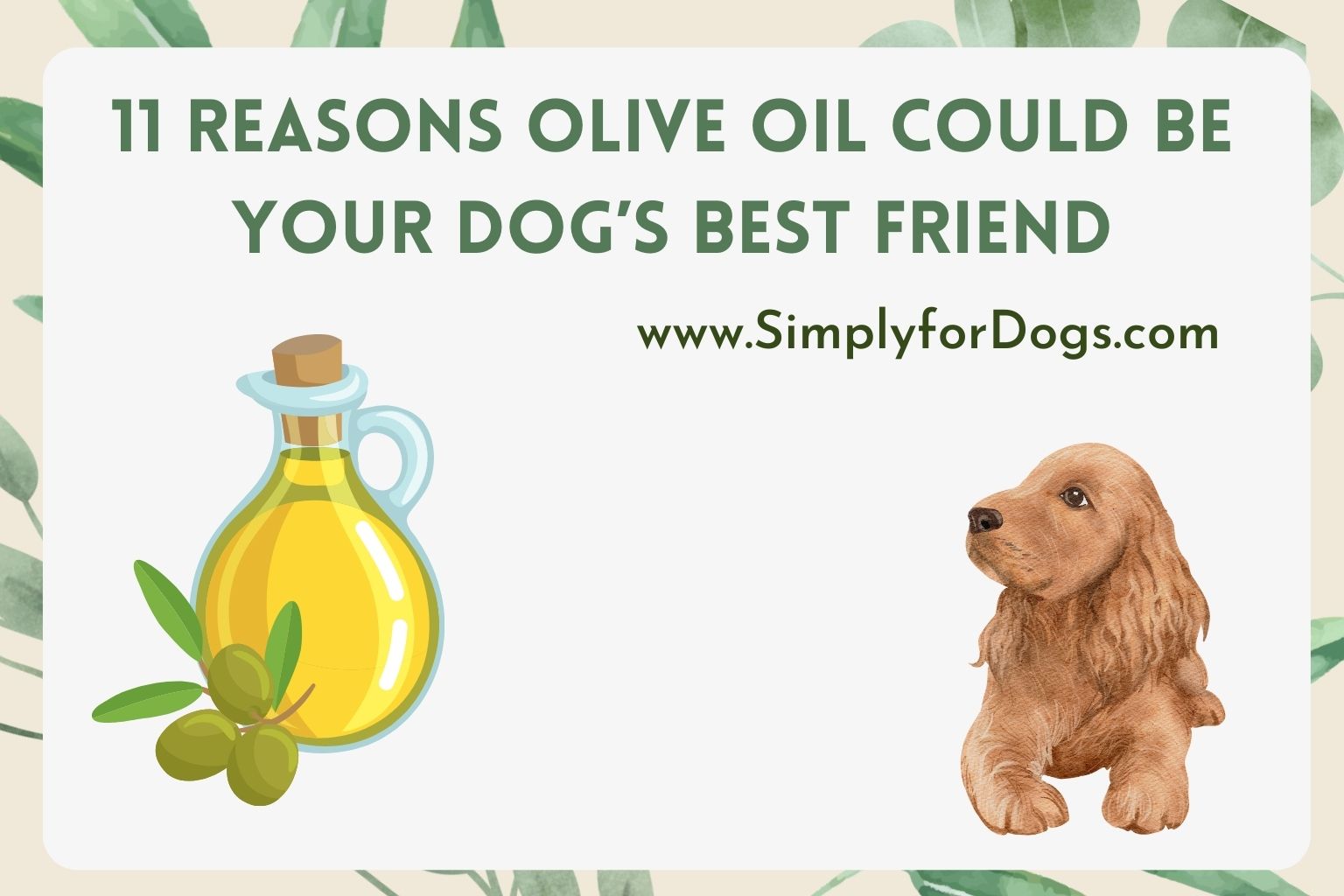 11 Reasons Olive Oil Could Be Your Dog’s Best Friend