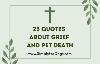 25 Quotes About Grief and Pet Death