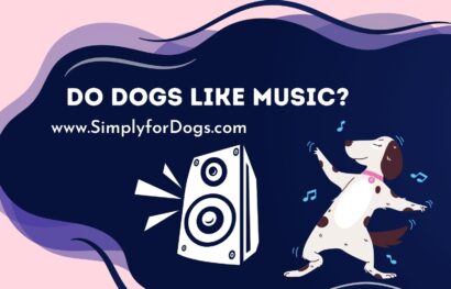 Do Dogs Like Music_