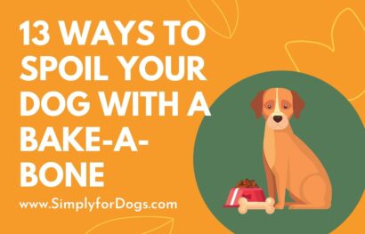 13 Ways to Spoil Your Dog with a Bake-A-Bone