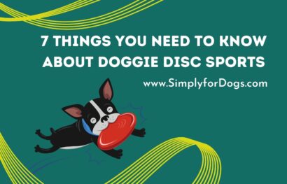 7 Things You Need to Know About Doggie Disc Sports