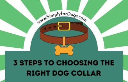 3 Steps to Choosing the Right Dog Collar