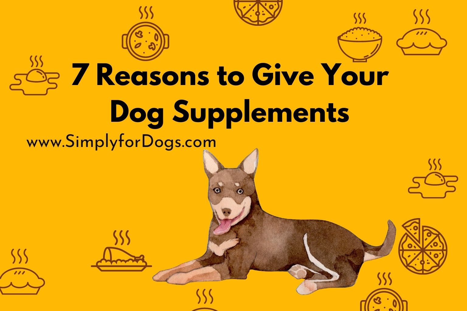 7 Reasons to Give Your Dog Supplements