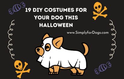 19 DIY Costumes for Your Dog This Halloween