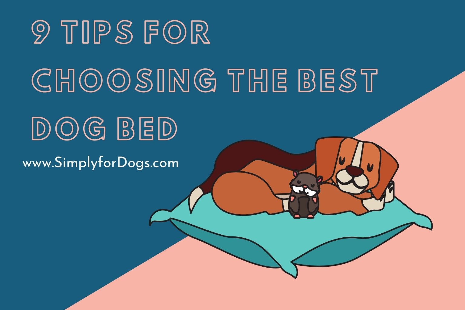 9 Tips for Choosing the Best Dog Bed