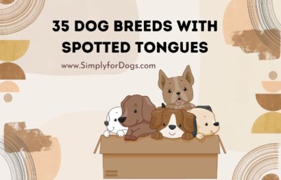 35 Dog Breeds with Spotted Tongues