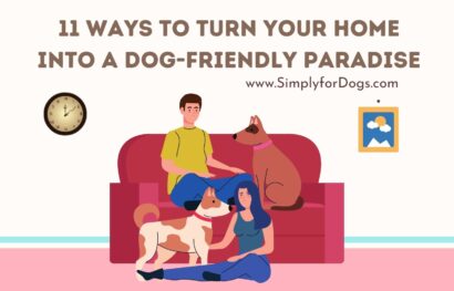 11 Ways to Turn Your Home into a Dog-Friendly Paradise