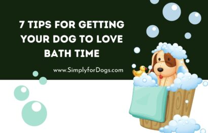 7 Tips for Getting Your Dog to Love Bath Time
