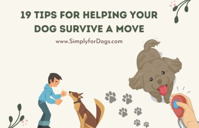 19 Tips for Helping Your Dog Survive a Move