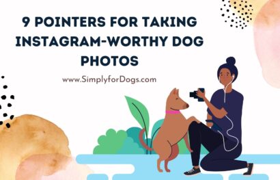 9 Pointers for Taking Instagram-Worthy Dog Photos