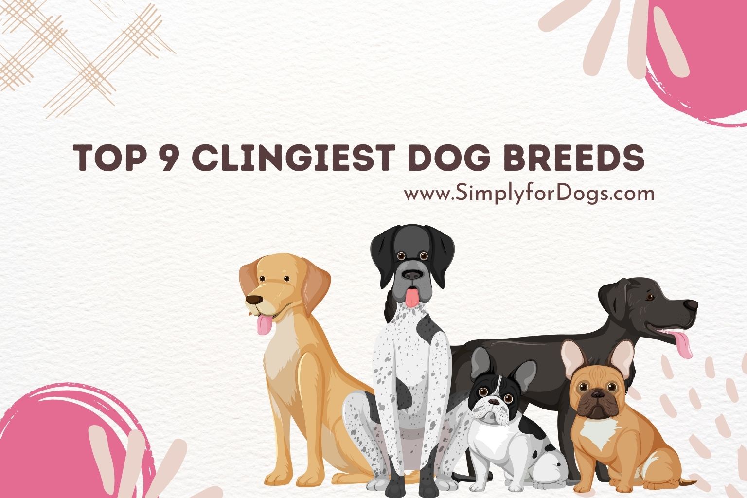 Top 9 Clingiest Dog Breeds