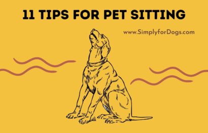 11 Tips for Pet Sitting