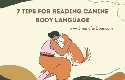 7 Tips for Reading Canine Body Language