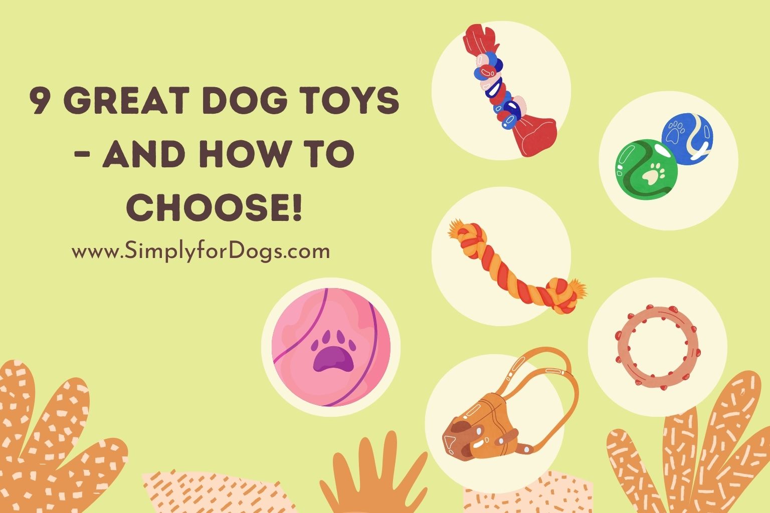 9 Great Dog Toys – and How to Choose!
