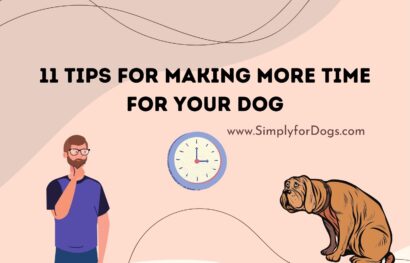 11 Tips for Making More Time for Your Dog