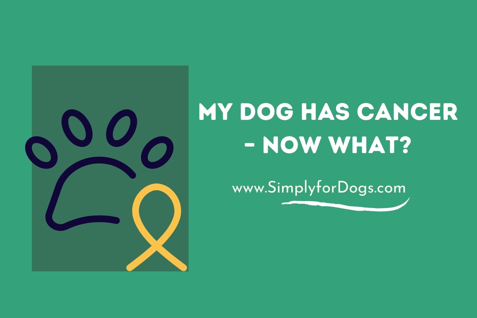 My Dog Has Cancer – Now What_