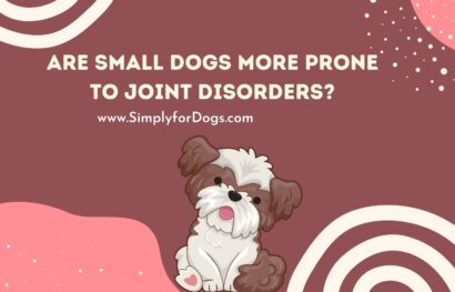 Are Small Dogs More Prone to Joint Disorders_