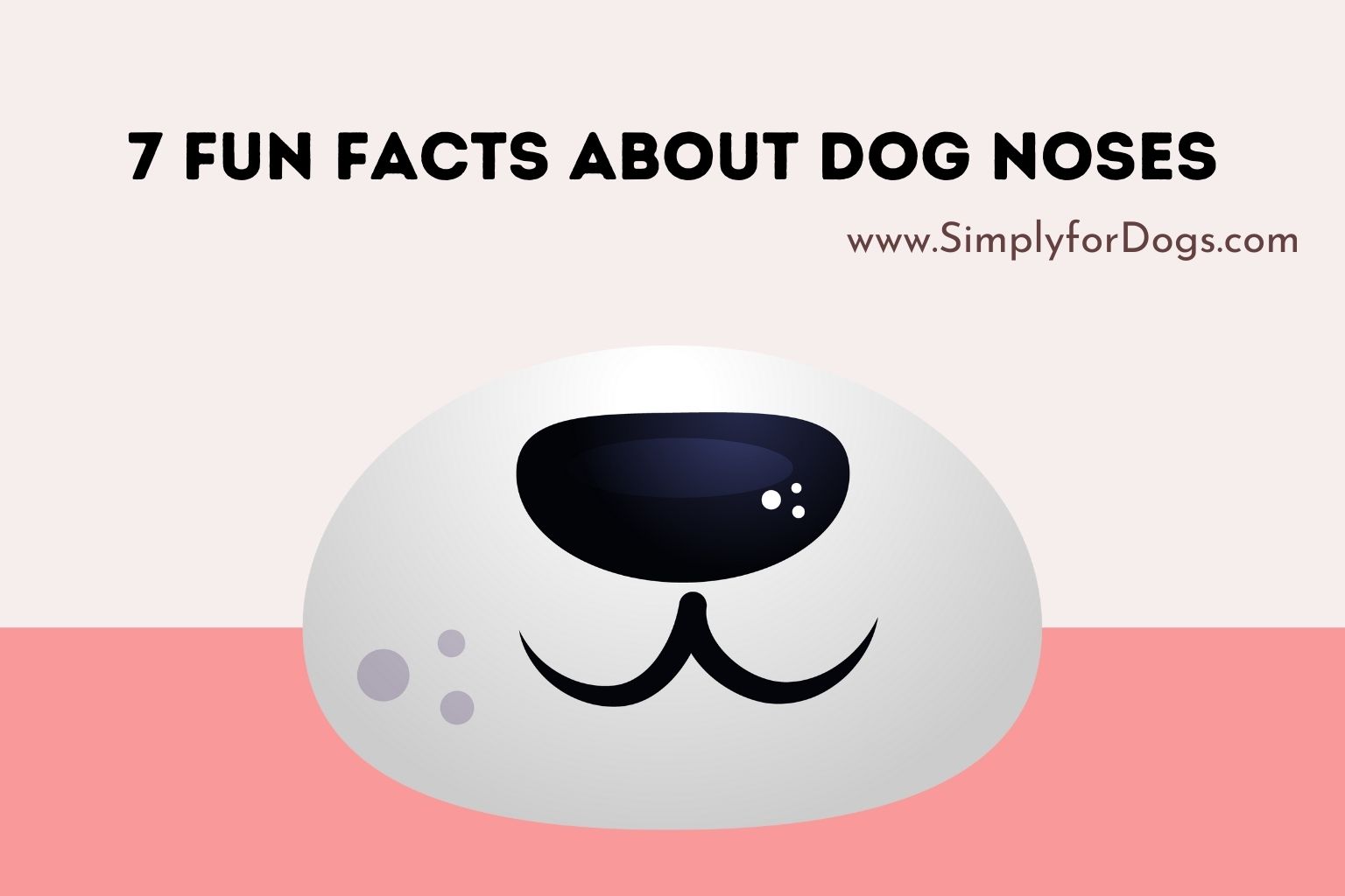 7 Fun Facts About Dog Noses