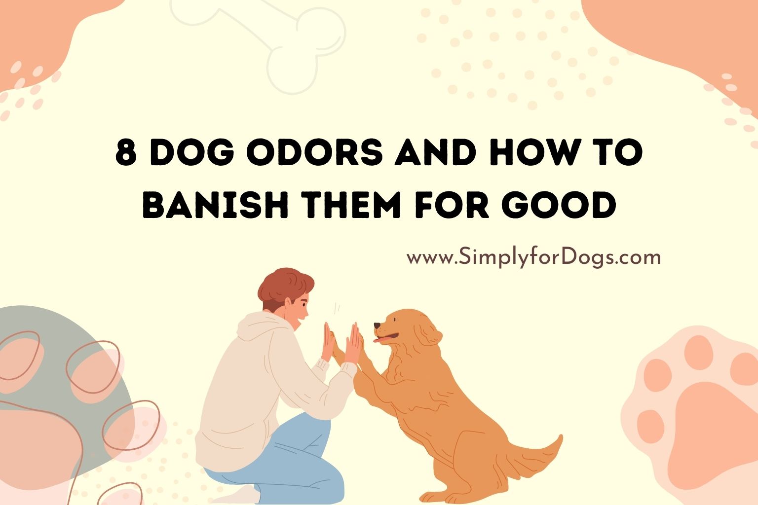 8 Dog Odors and How to Banish Them for Good