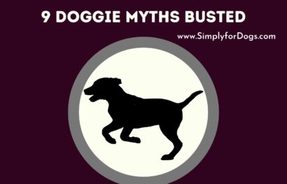 9 Doggie Myths Busted
