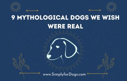 9 Mythological Dogs We Wish Were Real