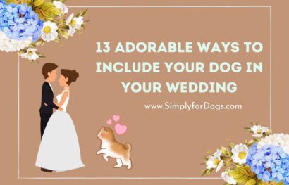 13 Adorable Ways to Include Your Dog in Your Wedding