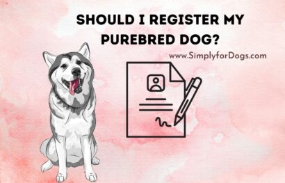 Should I Register My Purebred Dog_